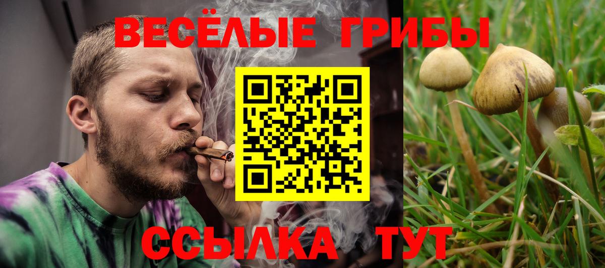 Псилоцибиновые грибы ЛСД  Вход с VPN  Гай  Псилоцибиновые грибы мицелий 