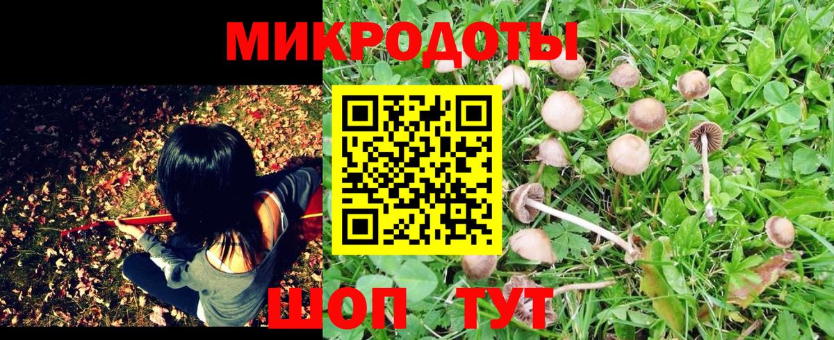 Псилоцибиновые грибы MAGIC MUSHROOMS Гай