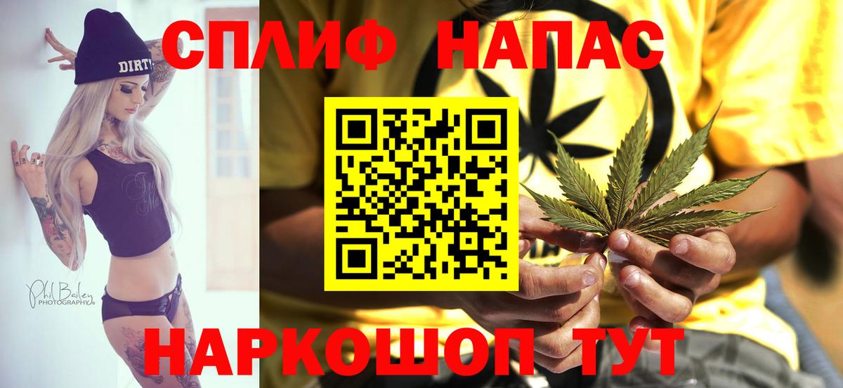 Бошки Шишки VHQ Гай